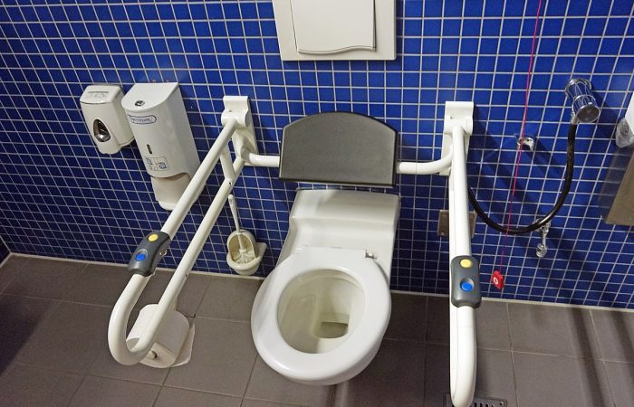 1200px-Handicap_toilet_2