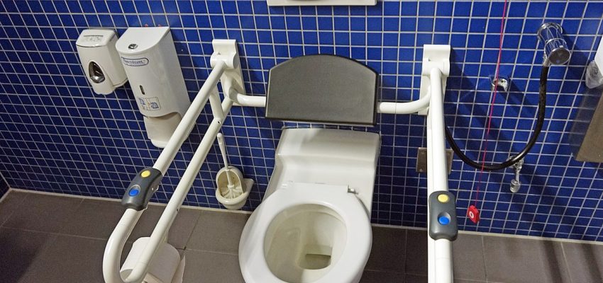 1200px-Handicap_toilet_2